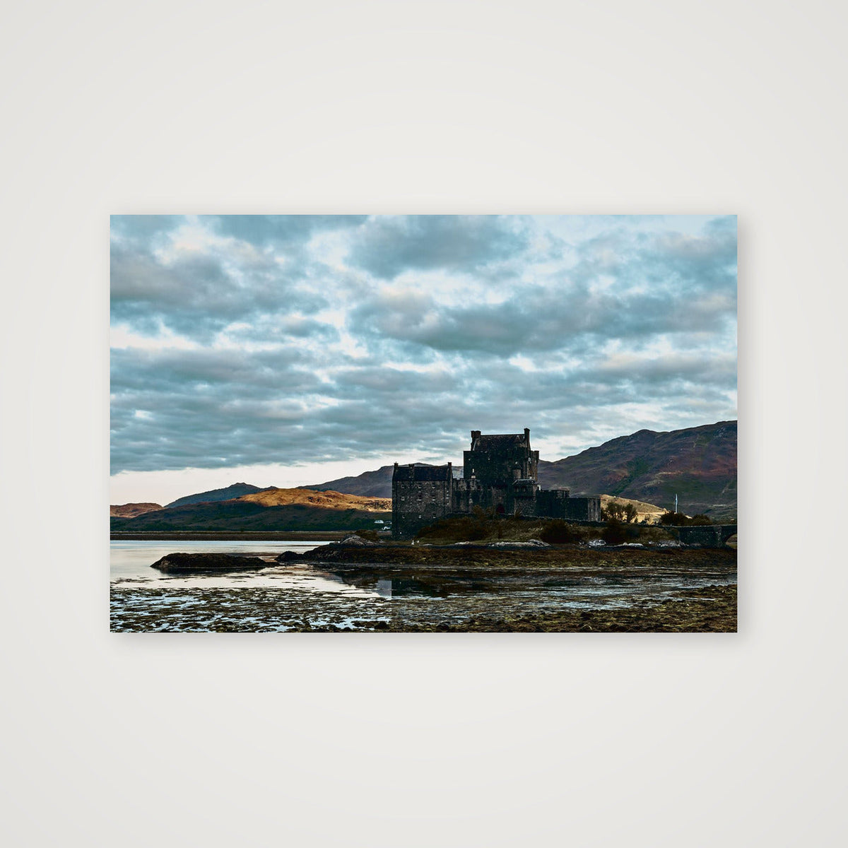 g u a r d — 45×30cm, 18×12" Print only