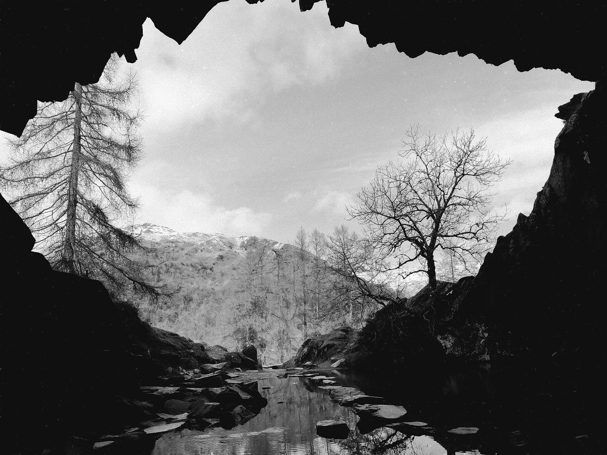 Looking out of Rydal Cave near Ambleside past stepping stones, a larch and a bare tree, in black and white