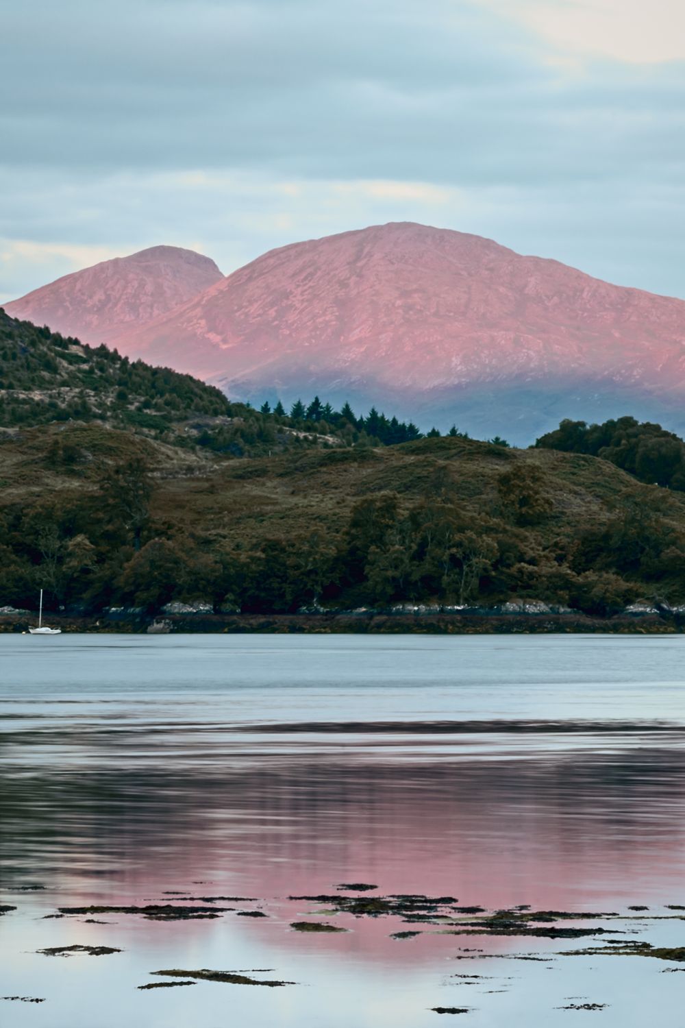 A mountain glowing pink above dark forest, reflected in a still loch, Scottish Highlands