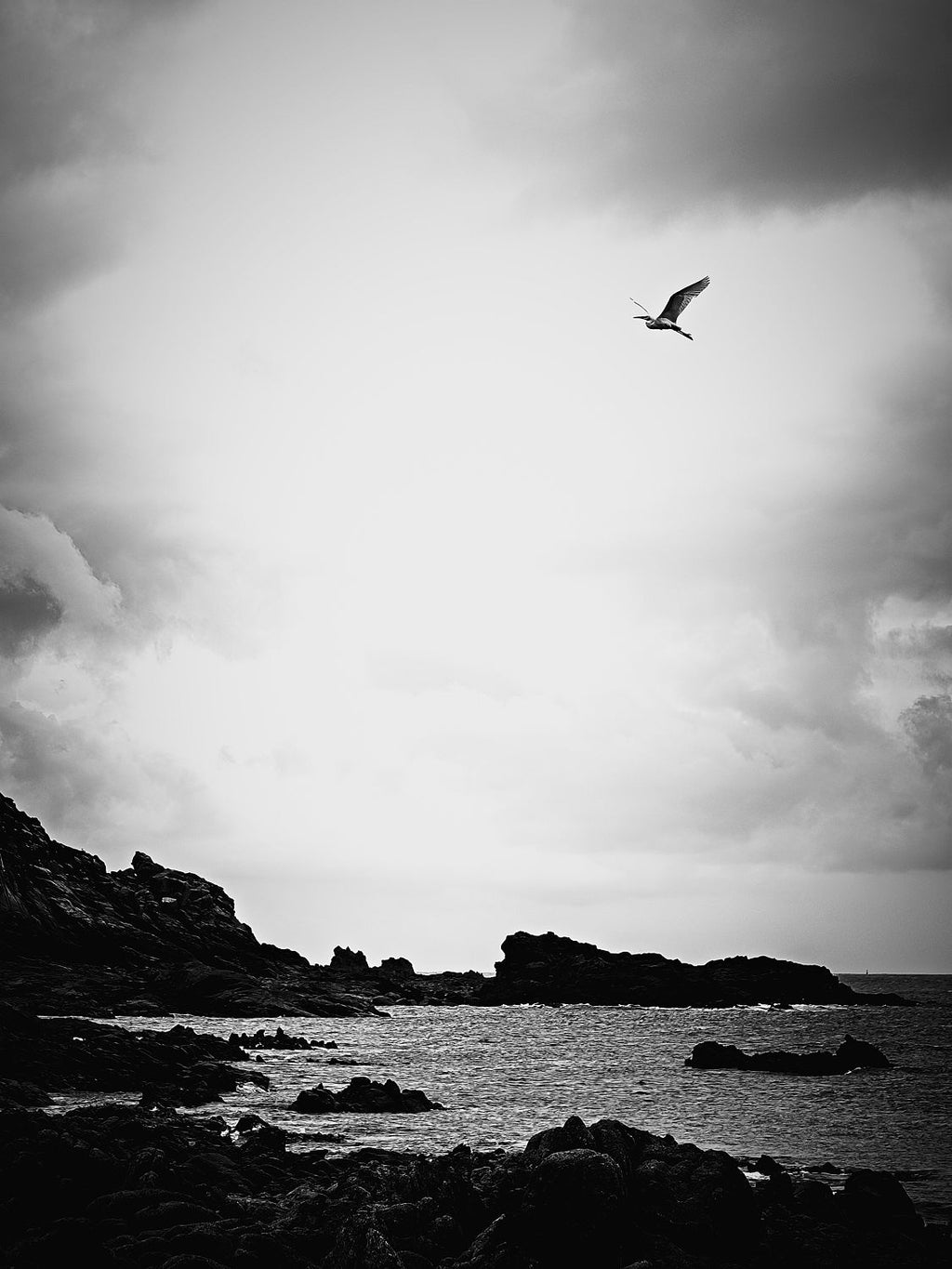 A lone heron high in a bright, cloudy sky above a dark rocky shore, in black and white