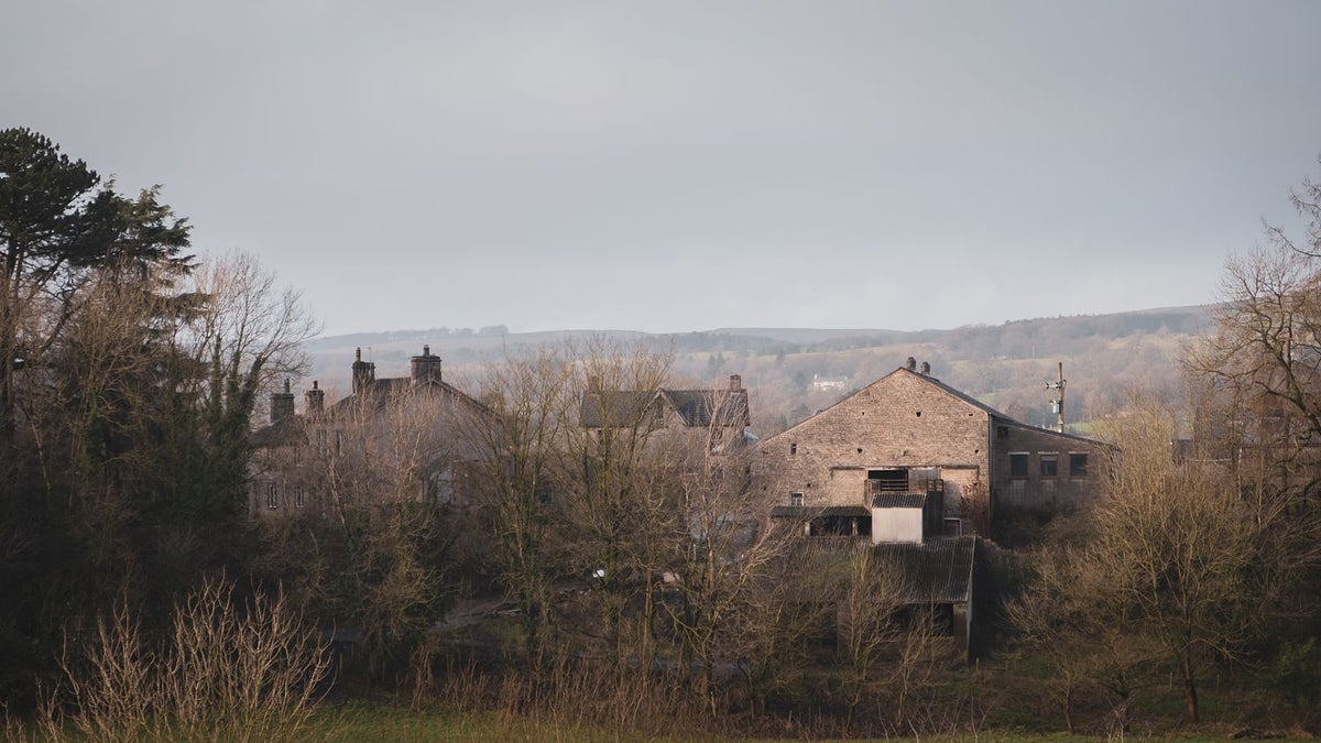 Stone houses and rooftops glimpsed through bare winter trees under a pale sky