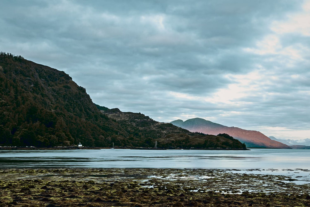 A wooded hillside and a distant hill lit pink across a sea loch at low tide, Scottish Highlands