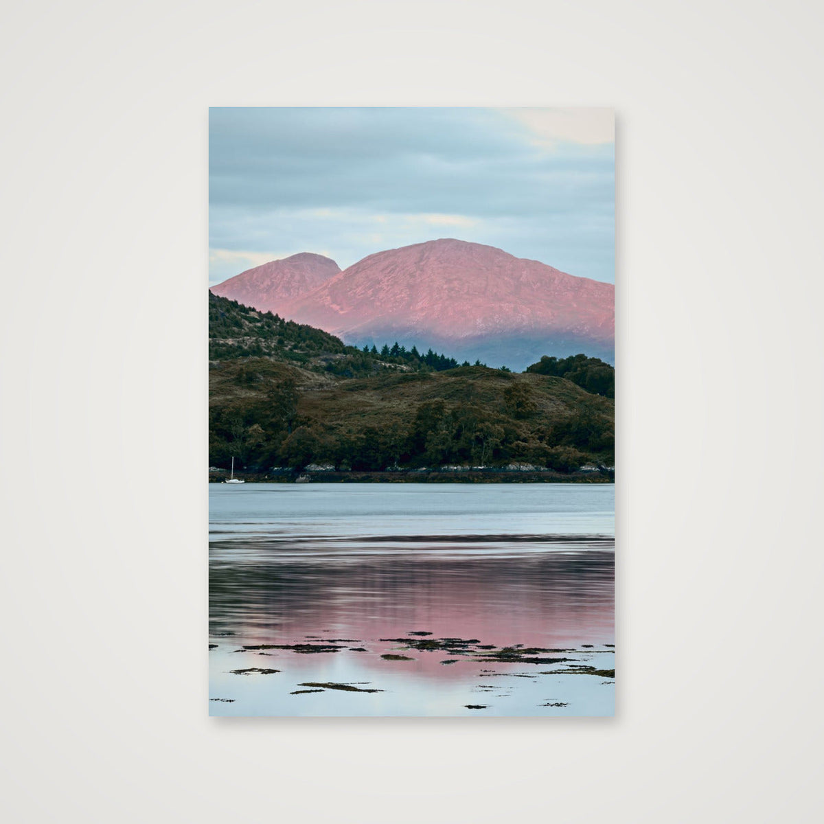 b l u s h — 30×45cm, 12×18" Print only