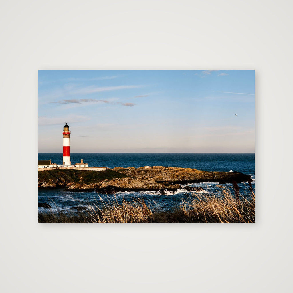 g r a i n — A4 (30×21cm, 12×8") Print only