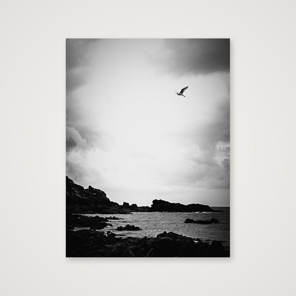 l o n e — 60×80cm, 24×31" Print only