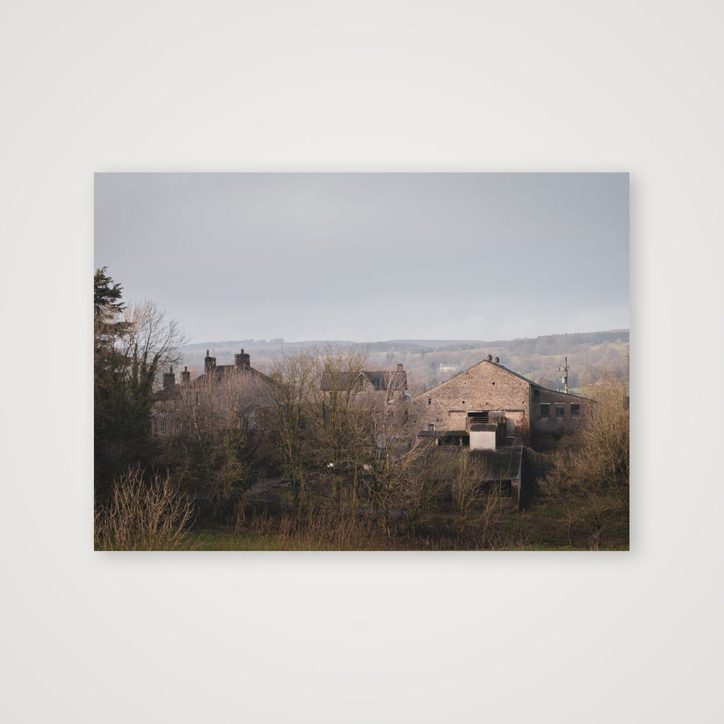 h a m l e t — A4 (30×21cm, 12×8") Print only